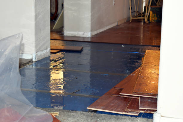 Professional Basement Flood Cleanup technician working in Cleveland, TX